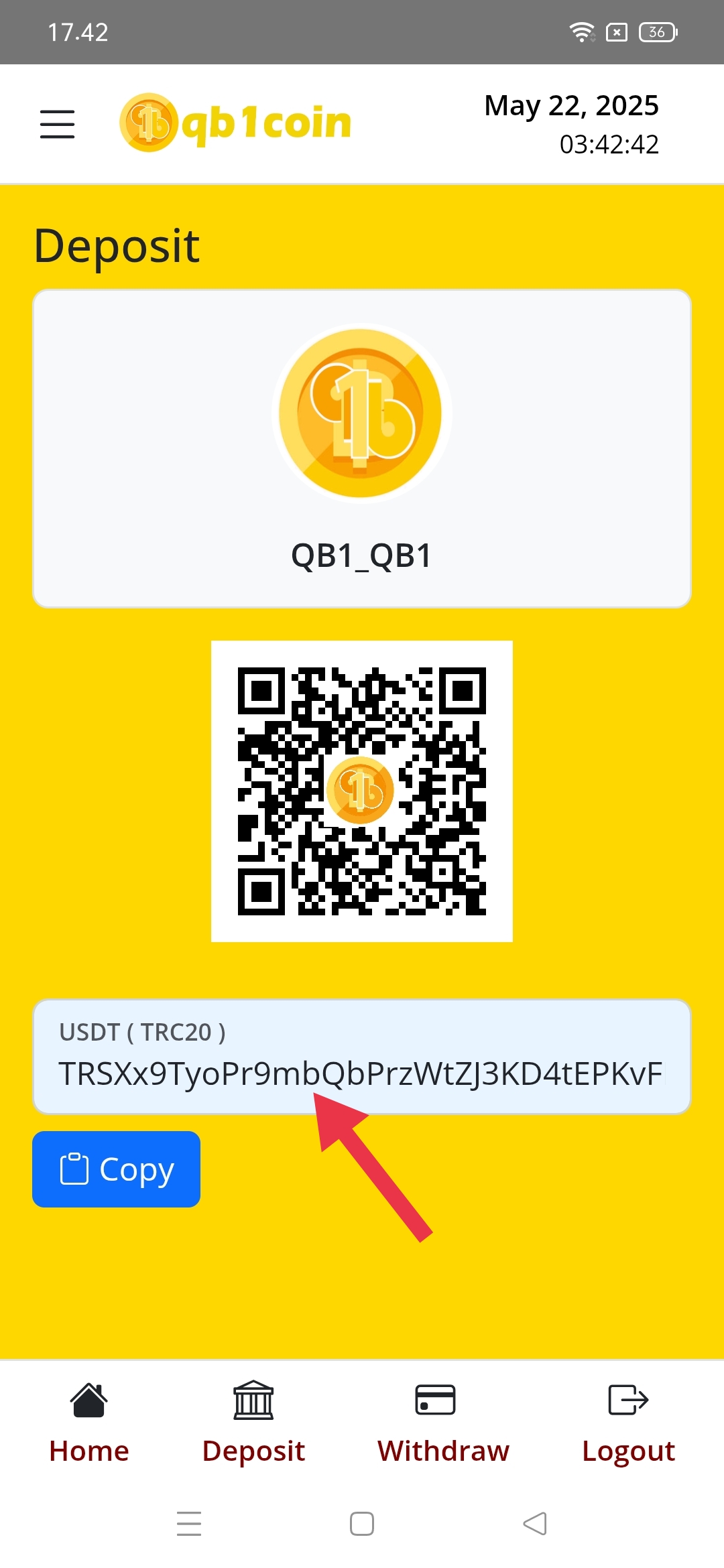 Copy wallet